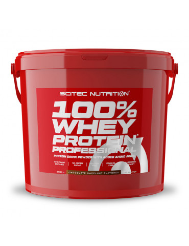 100% WHEY PROFESSIONAL (5kg) Scitec