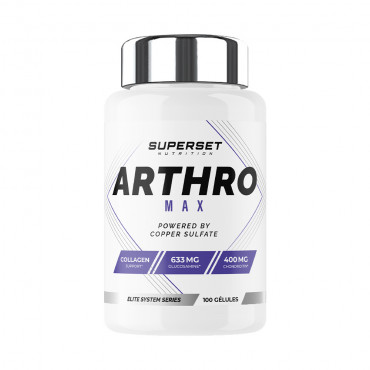 ARTHRO MAX (100 Kaps)