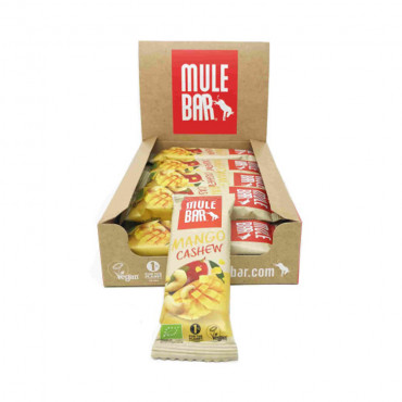 Vegan energierepen (15x40g)