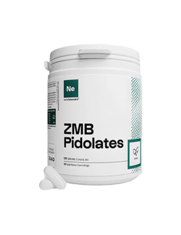 ZMB pidolates (120 caps)
