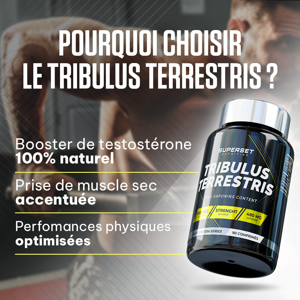 Tribulus Terrestris 10800mg – 90% Saponines – 120 Gélules – Complément Musculation & énergie – Fabriqué En Allemagne