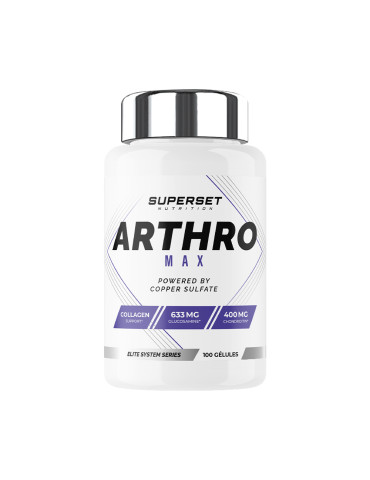 ARTHRO MAX (100 caps)