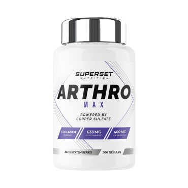 ARTHRO MAX (100 cáps)