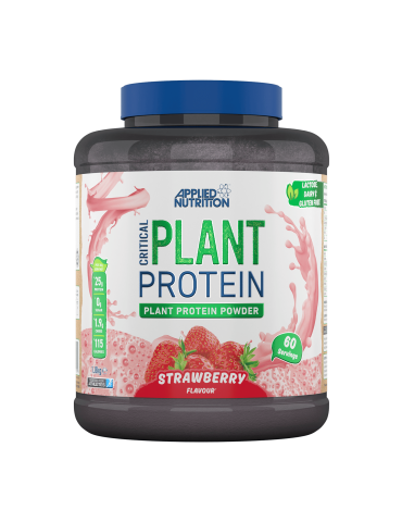 Critical plant (1800g)