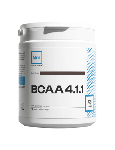 BCAA 4.1.1 (300g)