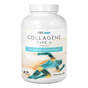 Type II Collagen (180...