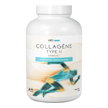 Type II Collagen (360...