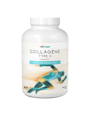 Collagène Type II (360 caps)