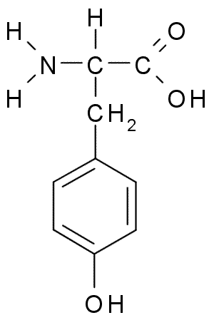 schéma tyrosine