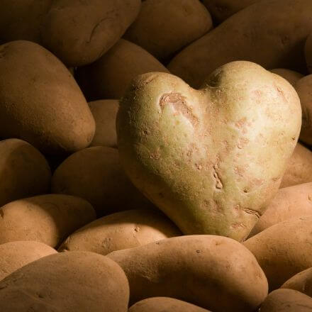 la pomme de terre pour mincir