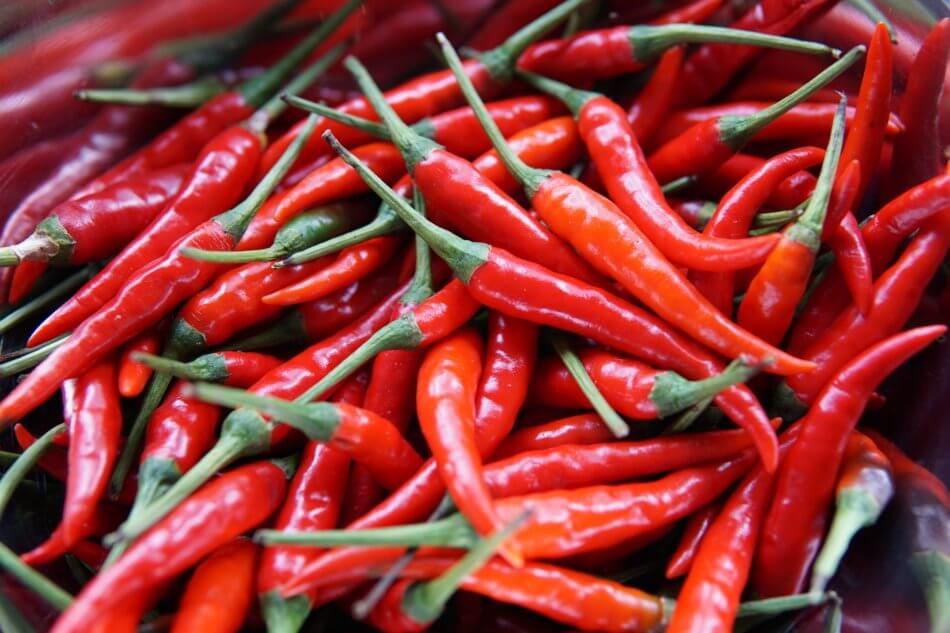 la capsaïne, substance active du piment