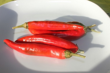 Le piment pour prolonger la vie