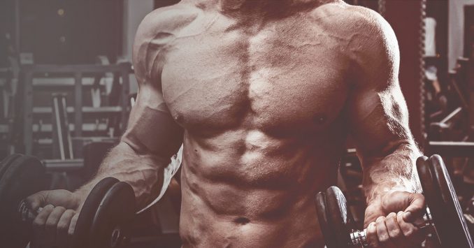 Qu'est ce que l'arginine et quel intérêt pour la musculation?