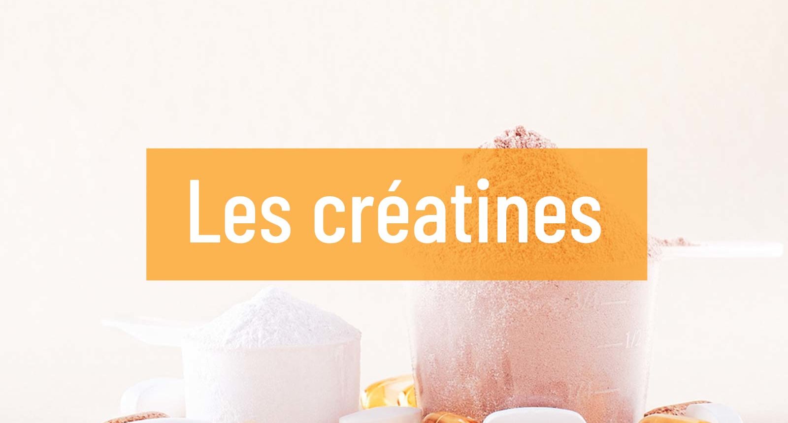 Faut Il Prendre De La Creatine Les Jours De Repos AUTOMASITES