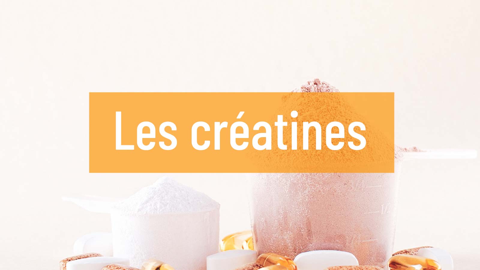 Guide des créatines