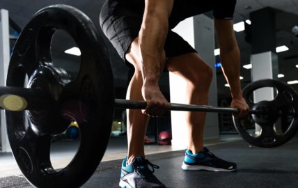 Le hack squat