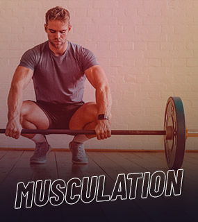 Musculation